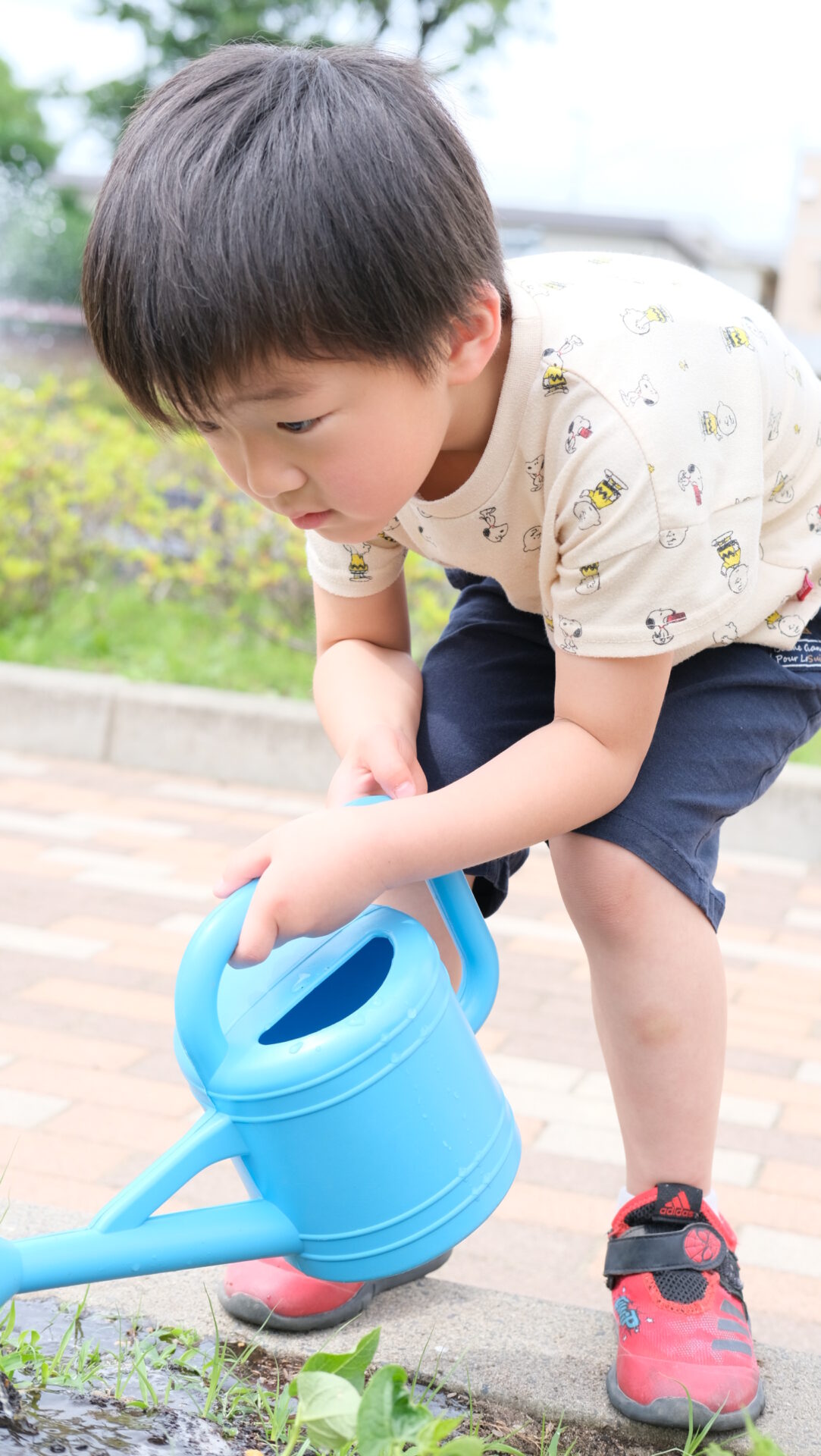 パルkids陽だまり園 朝のおしごと 水やり当番 6 14 保育の陽だまり園 パルkids陽だまり園 朝のおしごと 水やり当番 6 14 保育の陽だまり園